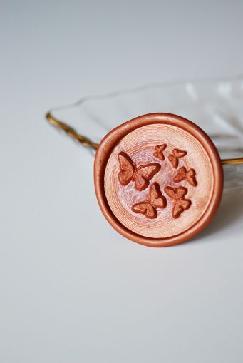 stampila-sigiliu-ceara-fluturi-3D