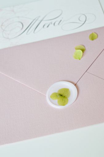 sigiliu-ceara-autoadeziv-hortensie-verde-muschi-1