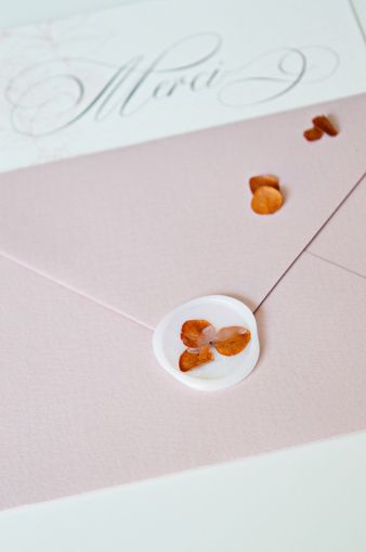 sigiliu-ceara-autoadeziv-hortensie-caramizie-1