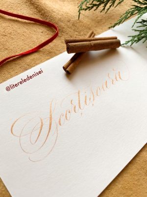 Culoare perlata caligrafie Bronze Eucalyptus