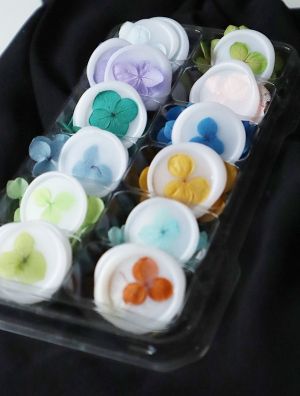 sigiliu-ceara-autoadeziv-hortensie-verde-galbuie-2