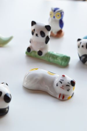 suport-toc-oblic-caligrafie-pisica